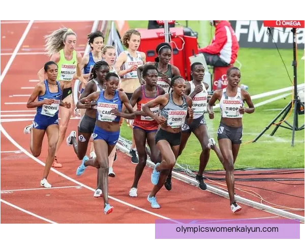 格里马尔多在本菲卡的表现持续提升，备受关注的年轻后卫正迎来职业生涯重要阶段